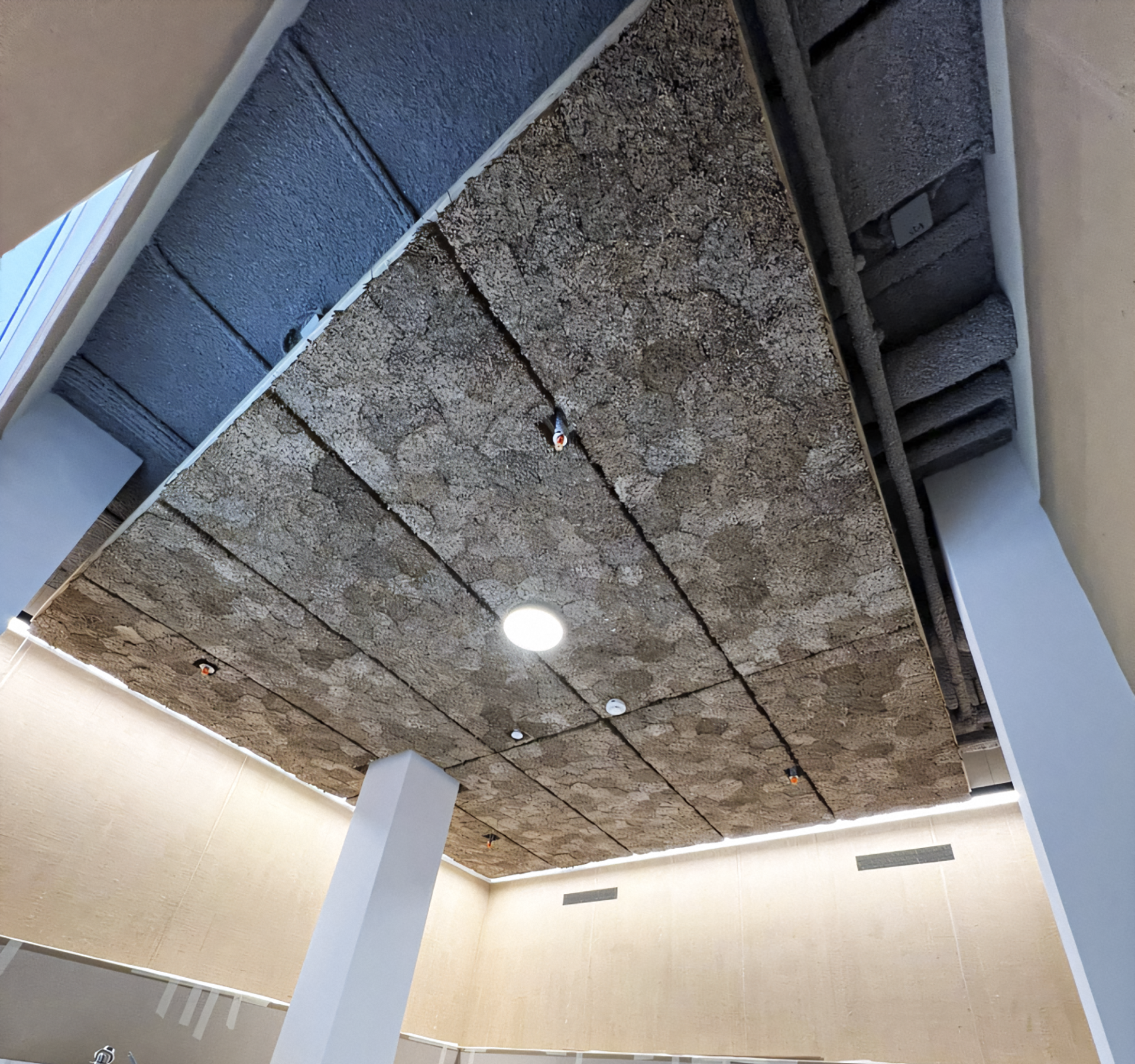 Groot geluiddempend rietpaneel aan het plafond