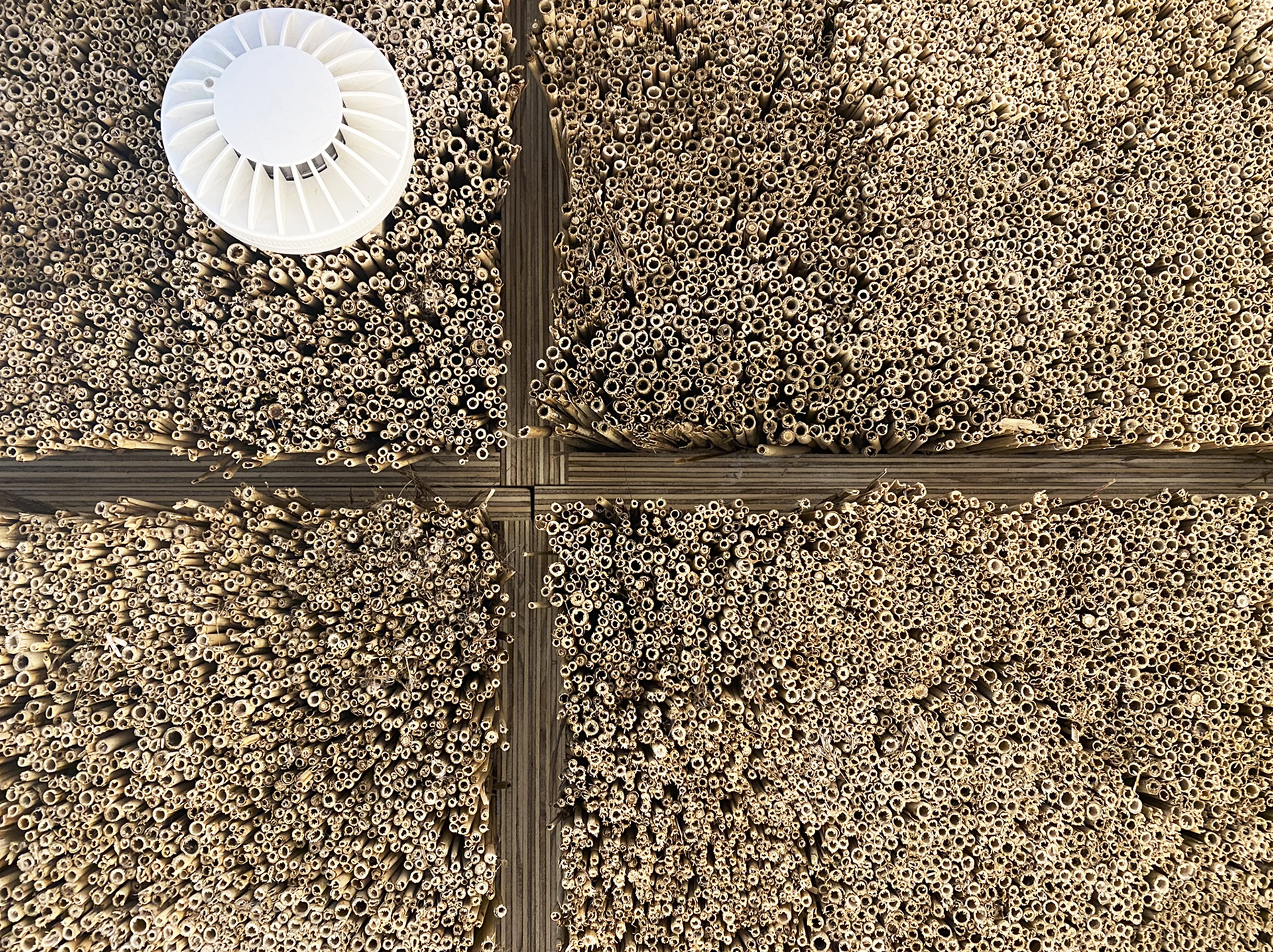 detail van Silent Reed panelen