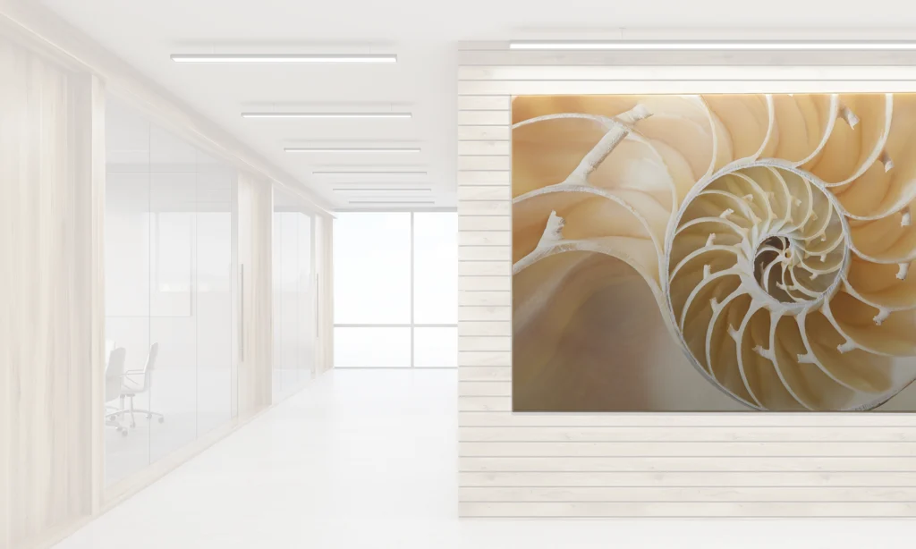 akoestisch fotopaneel wandgrootte