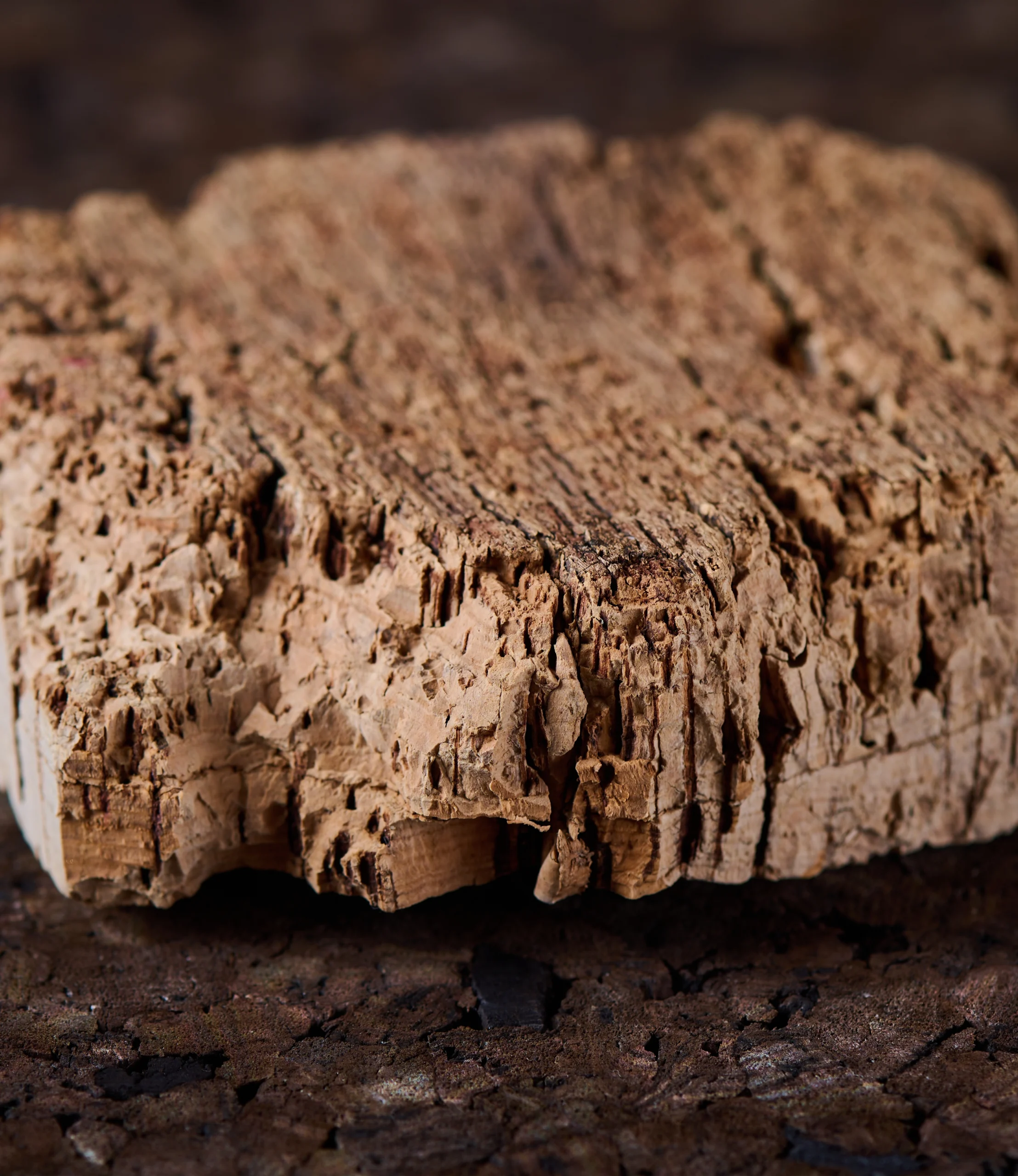 Detail foto van een kurk bast. Naamgeving is Cork Raw